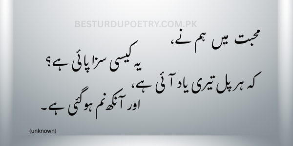 محبت میں ہم نے،
یہ کیسی سزا پائی ہے؟
کہ ہر پل تیری یاد آئی ہے،
اور آنکھ نم ہو گئی ہے۔
