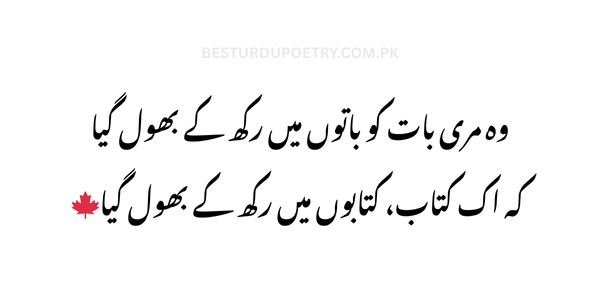 "وہ مری بات کو باتوں میں رکھ کے بھول گیا – Best Urdu Poetry | Urdu Poetry | Poetry | BestUrduPoetry.com.pk"