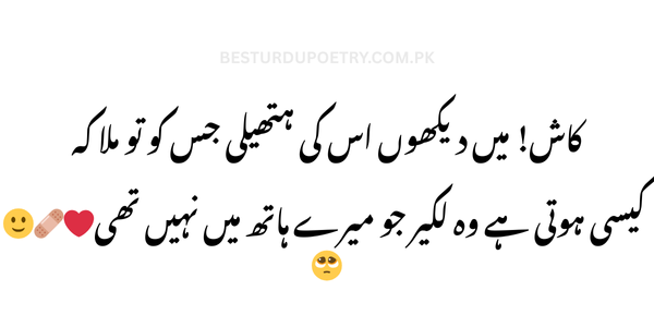 "کاش میں دیکھوں اس کی ہتھیلی جس کو تو ملا – Urdu Poetry | Best Urdu Poetry | New Urdu Poetry | Poetry"