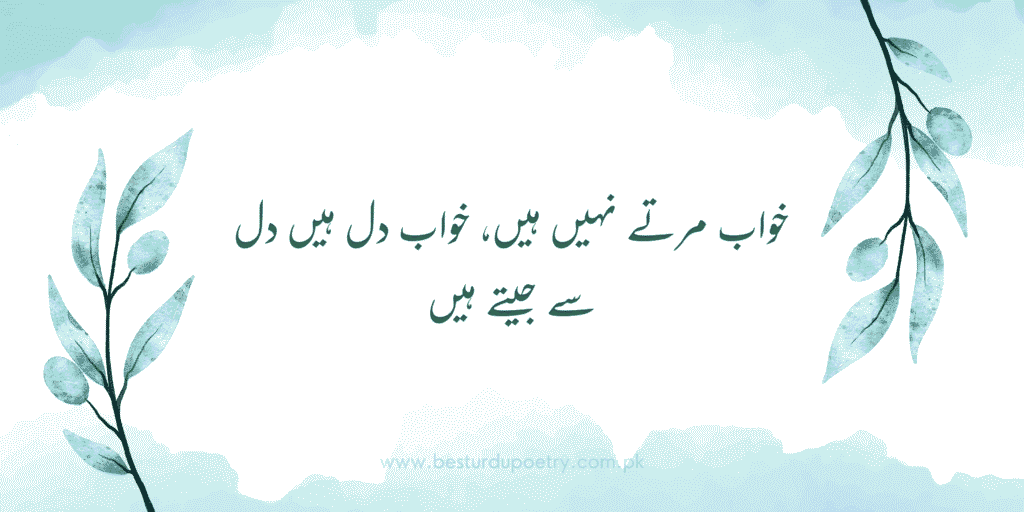 Best Urdu Poetry – خواب مرتے نہیں ہیں خواب دل ہیں دل سے جیتے ہیں | Poetry Urdu Poetry