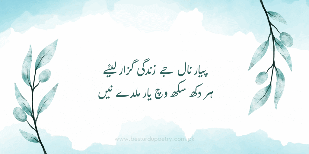 پیار نال جے زندگی گزار لئیے | Best Urdu Poetry