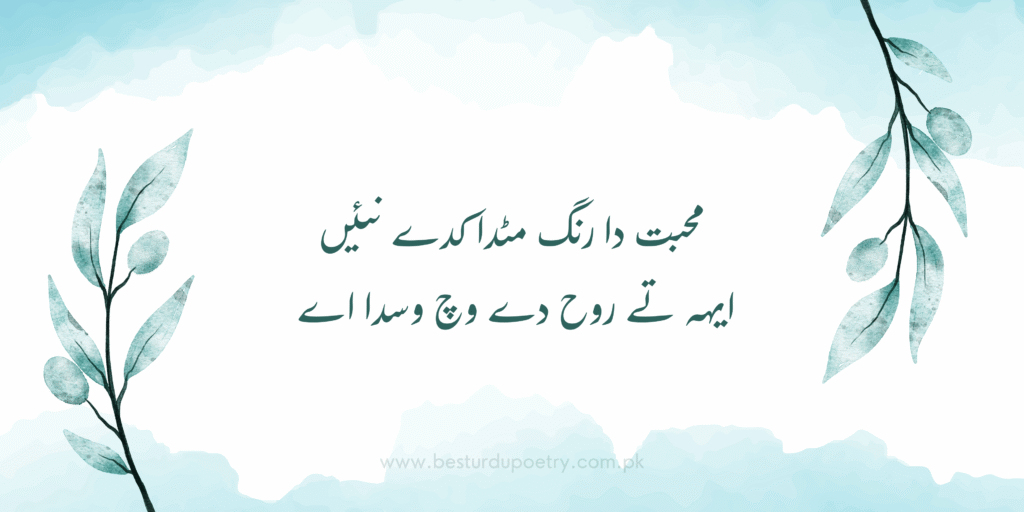 محبت دا رنگ مٹدا کدے نئیں | Best Urdu Poetry
